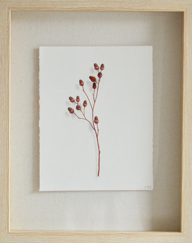 Acorn Study 4