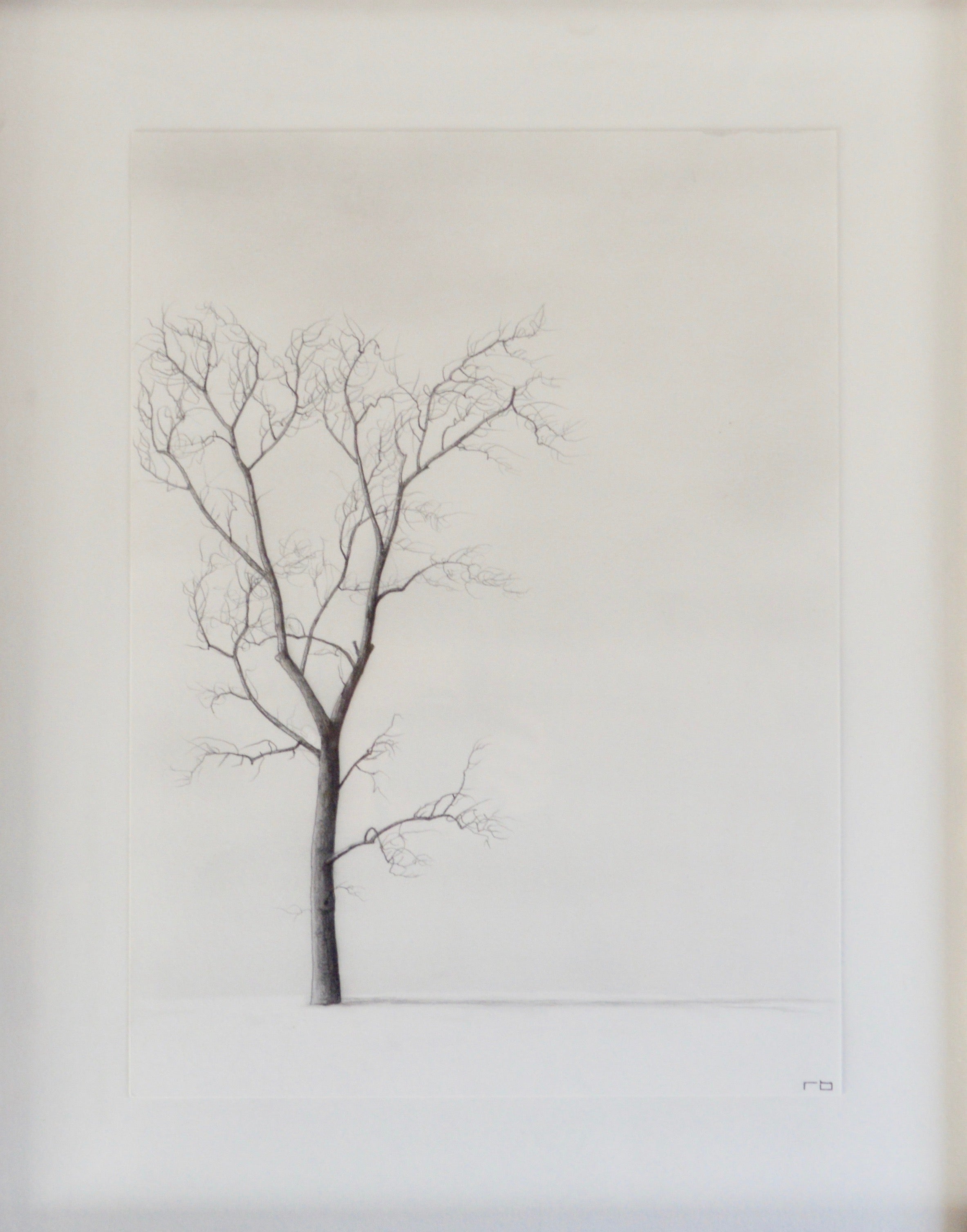 Tree Study