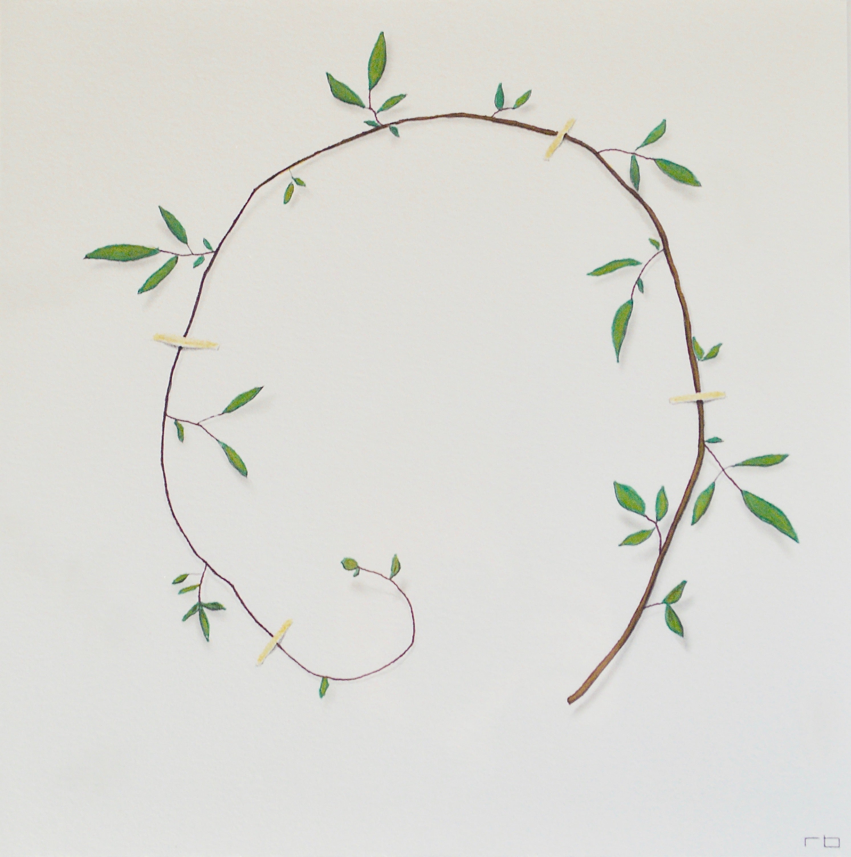 Vine Study