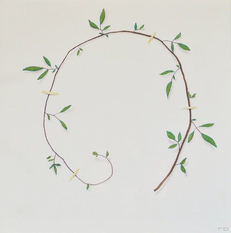 Vine Study