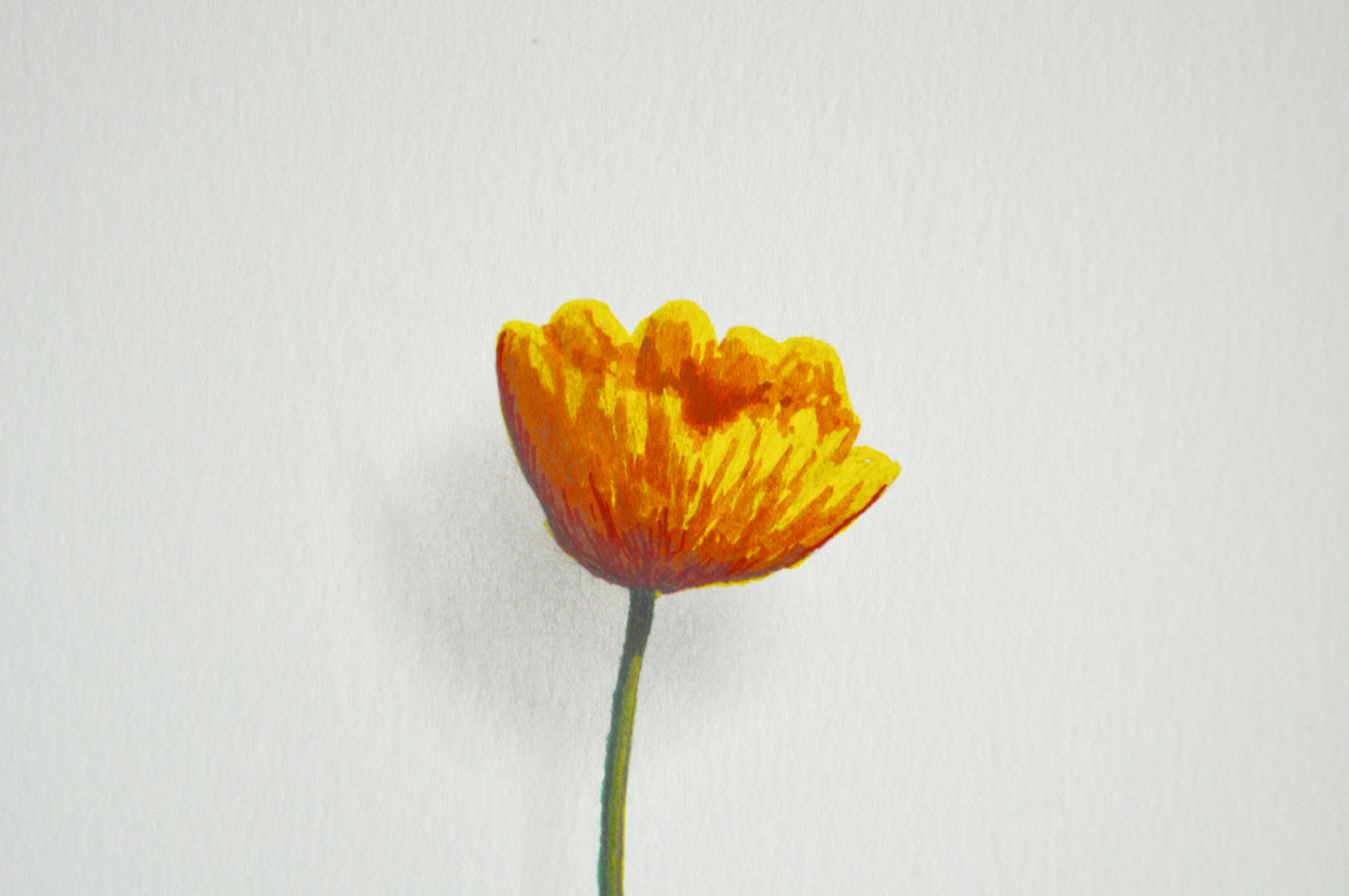 Yellow Flower 1