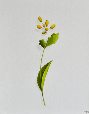 Yellow Flower 2