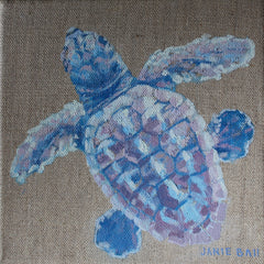 Turtle VII