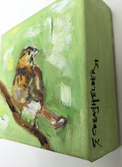 White-Throated Sparrow