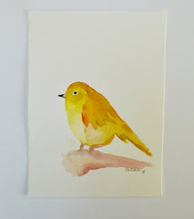 Bird 2