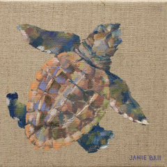Turtle III