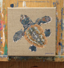 Turtle II