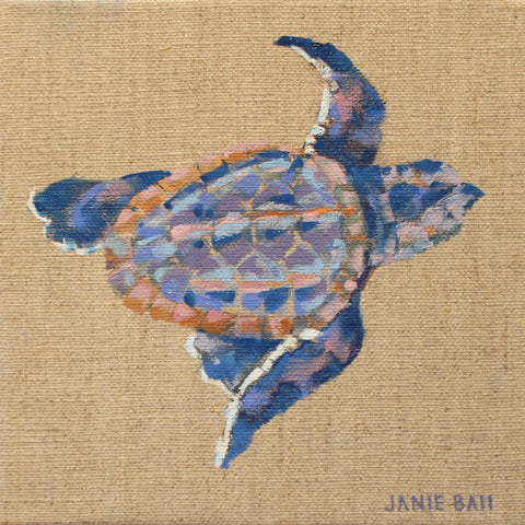 Turtle I