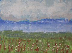 Mountain Meadow
