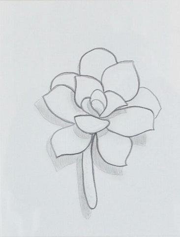 Abstract Succulent II